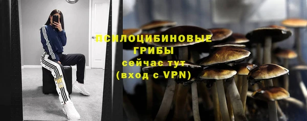 крисы Новозыбков