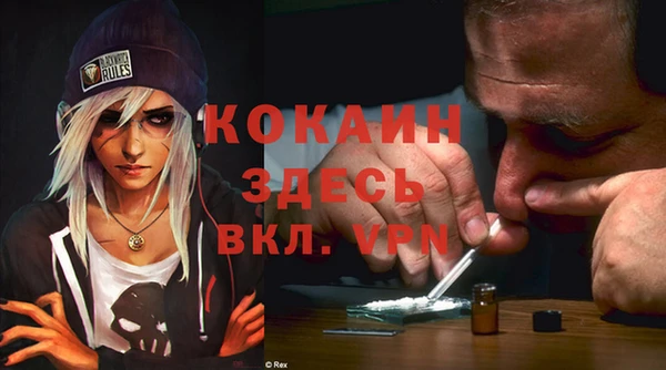 дурь Алзамай